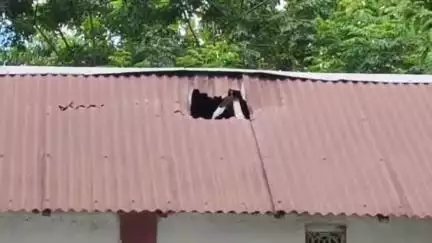 কোচবিহার ১: পুটিমারি ফুলেশ্বরী এলাকায় এক বাড়িতে বোমাবাজি, ঘটনায় আতঙ্ক ছড়ালো গোটা এলাকায়