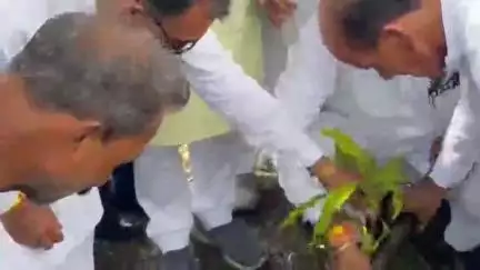 राजगढ़: राजगढ़ के खिलचीपुर में राज्यमंत्री ने 'एक पेड़ मां के नाम' अभियान के तहत किया पौधारोपण