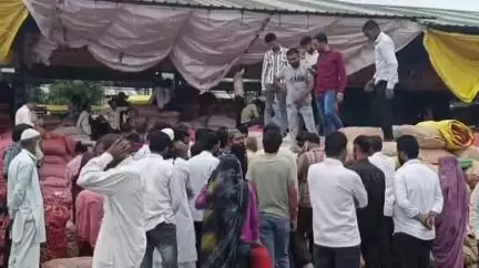 शाजापुर: शाजापुर मंडी में 13809 क्विंटल प्याज की आवक, ₹1675 प्रति क्विंटल बिकी