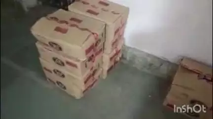गोपालगंज: शहर के अरार मोड़ के पास पुलिस ने एक बाइक सवार युवक को दस कार्टन शराब के साथ गिरफ्तार किया, युवक जख्मी