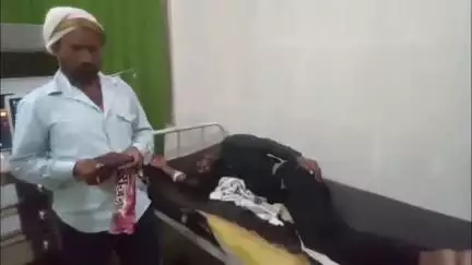 सतना के सरवहना में आकाशीय बिजली गिरने से पाँच भेड़ों की मौत, एक युवक घायल