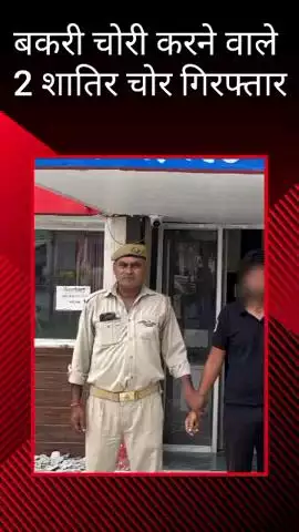 मोहनलालगंज: मोहनलालगंज थाना पुलिस ने कार से बकरी चोरी करने वाले 2 चोरों को किया गिरफ्तार