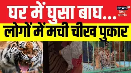 Jharkhand News: घर में घुसा बाघ, लोगों में मची चीख पुकार| Jharkhand Breaking News| Jharkhand Updates