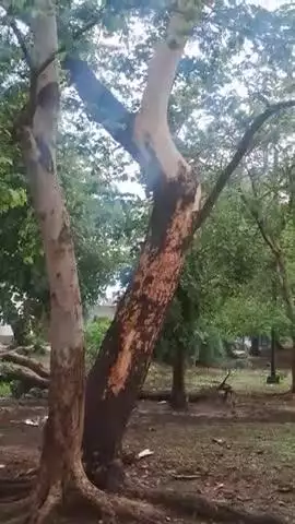 Aakash yah bijali Girne se mcha hrdkaam koi nuksan nhi hua janbr bal bal bchi