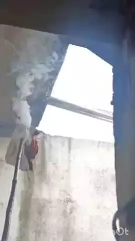 धामपुर: अफजलगढ़ में बंदरों के आतंक से परेशान लोगों ने बंदरों को भगाने का नायाब तरीका अपनाया, वीडियो सोशल मीडिया पर वायरल