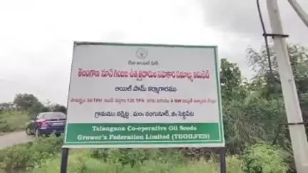 సిద్దిపేట అర్బన్: నంగునూరు మండలం నర్మెట గ్రామ శివారులో నిర్మిస్తున్న ఆయిల్ పామ్ ఫ్యాక్టరీ పనులను పరిశీలించిన ఎమ్మెల్యే హరీష్ రావు