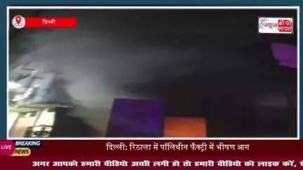 दिल्ली: रिठाला में पॉलिथीन फैक्ट्री में भीषण आग, 4 की मौत, 3 गंभीर घायल- सूत्र