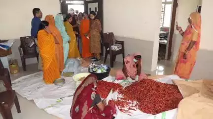 मोहन बड़ोदिया: कलेक्टर ने मो. बड़ोदिया क्षेत्र के ग्रामों का दौरा कर विकास कार्यों का निरीक्षण किया