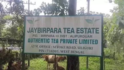 মাদারিহাট: জয়বীরপাড়া নিয়ে দ্বিপাক্ষিক বৈঠক ডাকল আইটিপিএ