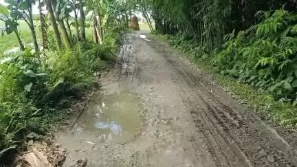 শীতলকুচি: ভাটারহাট থেকে ডাকালির হাট পযর্ন্ত প্রায় তিন কিমি রাস্তা বেহাল, সংস্কার ও পাকা  করার দাবী স্থানীয়দের#jansamasya