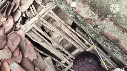 शाहनगर: घर में ब्लैक कोबरा घुसने से हड़कंप, सर्प मित्रों ने किया सफल रेस्क्यू