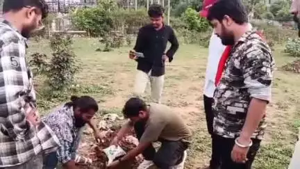 गोपद बनास: सीधी जिले में पोस्ट ऑफिस के सामने मिला कटे बछड़े का सिर, शिव सैनिकों ने कोतवाली में दिया शिकायती पत्र