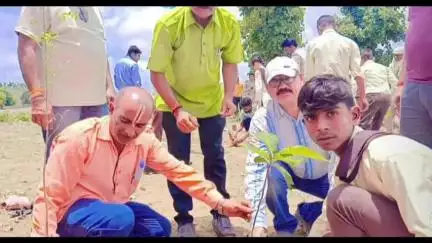 विजयराघवगढ़: बंजारी में हरिहर तीर्थ धाम के सामने वन विभाग द्वारा पौधरोपण कार्यक्रम आयोजित