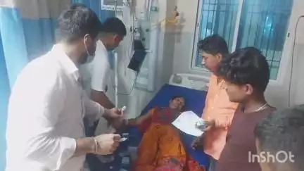 अररिया: मदनपुर पोखरिया वार्ड संख्या 12 में भिन्डी तोड़ने गई महिला को विषैला सर्प ने डसा, इलाज जारी