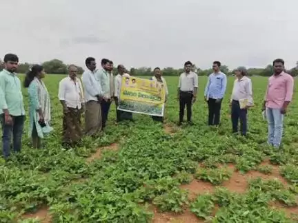 కళ్యాణదుర్గం: విత్తన శుద్ధి చేసి పంటలను సాగు చేయాలి: నారాయణపురంలో మండల వ్యవసాయాధికారి శ్రావణ్ కుమార్