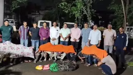 अमरावती: दर्यापूर व खल्लारमध्ये केबल चोरी करणारी टोळी जेरबंद; १२ आरोपी अटकेत, ग्रामीण गुन्हे शाखेची कारवाई