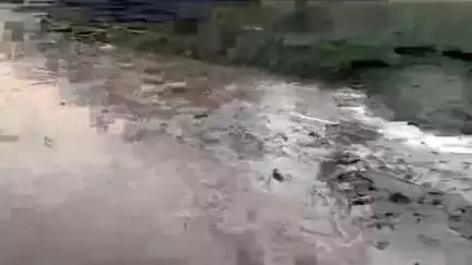 थानेसर: शाहबाद में मारकंडा नदी का जलस्तर बढ़ा, प्रशासन ने आसपास के इलाके में अलर्ट जारी किया