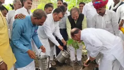 जीरापुर: राज्य मंत्री नारायण सिंह पंवार ने 'एक पेड़ माँ के नाम' अभियान के तहत किया वृक्षारोपण