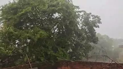 झांसी: 30 मिनट की बारिश में तालाब बनीं डडियापुरा, ओरछा गेट की सड़कें, जनजीवन हुआ अस्त-व्यस्त #jansamasya