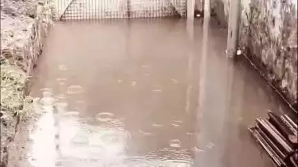 ஆனைமலை: வீட்டுக்குள் ஓடும் சாக்கடை நீர் நெல்லு குத்திபாறை பொதுமக்கள் அவதி #localissue