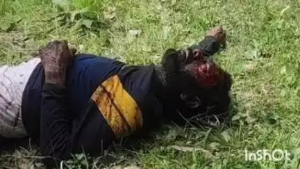 ननखड़ी: बाल्टीधार के पास चौकानाला में तारकोल मिक्स रोड़ी ले जा रहा टिप्पर हुआ दुर्घटनाग्रस्त, चालक घायल