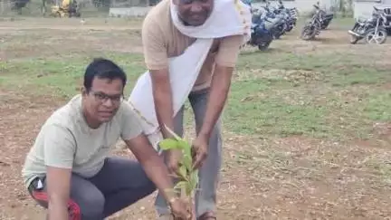 चांद: चांद नगर में नगर परिषद और स्थानीय निवासियों ने किया पौधारोपण