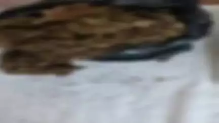 साहेबपुर कमाल: साहेबपुरकमाल वार्ड संख्या 9 से एनडीपीएस एक्ट में एक महिला गिरफ्तार