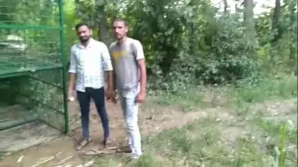 अमरोहा: रजबपुर के गांव पीठखेड़ा में तेंदुए का खौफ, पिंजरे में नहीं आ रहा तेंदुआ, पास से गुजरा