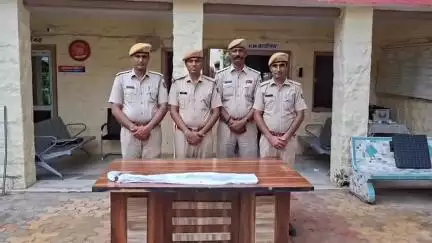 रानीवाड़ा: रानीवाड़ा में अवैध हथियार जब्त, खेत में छिपाई गई बंदूक बरामद, आरोपी फरार