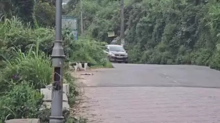 கொடைக்கானல்: வெள்ளி நீர்வீழ்ச்சி பகுதியில் கடை வியாபாரியின் வளர்ப்பு நாய் வனவிலங்கு வேட்டையாடி எடுத்துச் சென்ற வீடியோ காட்சி வைரல்