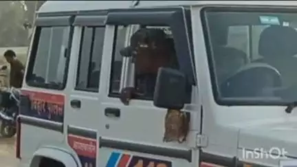 औराई: बलिया गांव के सिमान पर दो बाइकों की टक्कर, तीन युवक जख्मी, एक की हालत गंभीर