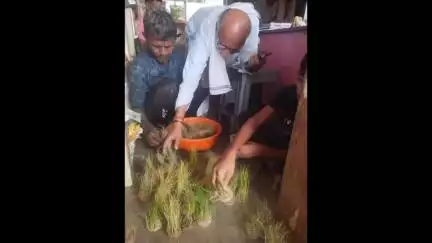 अर्जुनी मोरगाव: प्रात्यक्षिकाद्वारे धान बियाण्यांची विक्री  अर्जुनी मोरगाव येथील 'हरी ओम कृषी प्रतिष्ठान'चा अभिनव उपक्रम
