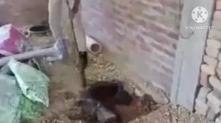 বোকাখাত: বোকাখাটৰ ভকত চাপৰিৰ লগতে বিভিন্ন স্থানত ড্ৰামে  ড্ৰামে দুই হাজাৰ লিটাৰকৈ অধিক অবৈধ ভাবে ঘৰত তৈয়াৰ কৰা সুৰা জব্দ