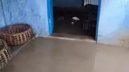 गोला: गोला में भारी बारिश से जलजमाव, पॉल्ट्री फार्म में घुसा पानी, हजारों का नुकसान