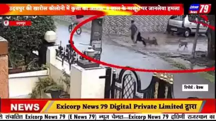 उदयपुर की खारोल कॉलोनी में कुत्तों का आतंक: 8 साल के मासूम पर जानलेवा हमला