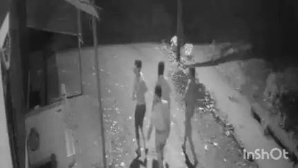 गुना नगर: शुक्ला कॉलोनी में रेकी करते 8 चोरों का गैंग सीसीटीवी में कैद, साइकिल और एक्टिवा से सामान चोरी