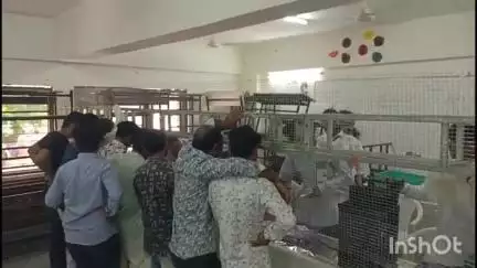 દિયોદર: દિયોદર તાલુકાનીગ્રામપંચાયતોની ચૂંટણી થતા આજે મતગણતરી શાંતિપૂર્ણ માહોલમાં યોજાઈ મોટી સંખ્યામાં લોકો મતગણતરી સ્થળે ઉંમટ્યા