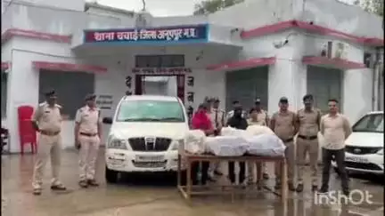 अनूपपुर: चचाई पुलिस ने जाइलो वाहन में गांजा तस्करी करते आरोपियों को किया गिरफ्तार