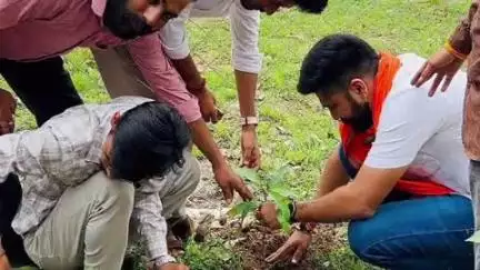 बरघाट: ग्राम जेवनारा महादेव मंदिर प्रांगण में ग्रामीण युवाओं द्वारा पौधारोपण
