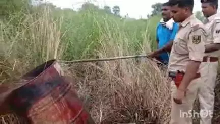 मसौढ़ी: बदरोई गांव में अवैध शराब के खिलाफ छापामारी, दो हजार किलो जावा महुआ नष्ट