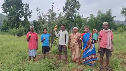 जशपुर: जशपुर जिले में आम, नाशपाती एवं कृषि क्षेत्र में नवाचार करने वाले किसानों के लिए प्रतियोगिता 28 एवं 29 जून को आयोजित होगी