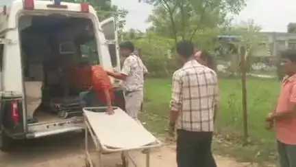 पीपलू: ग्राम रानोली में मधुमक्खियों के हमले में घायल दो युवकों को टोंक रेफर किया गया