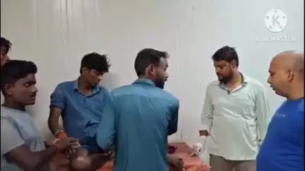 बगहा: बगहा में मगरमच्छ ने किसान पर किया जानलेवा हमला