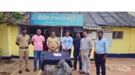 ब्रह्मपूरी: शहरातील मराठा लेआउट येथे घरपोडी करणाऱ्या दोन आरोपींना ब्रह्मपुरी पोलिसांनी केली अटक