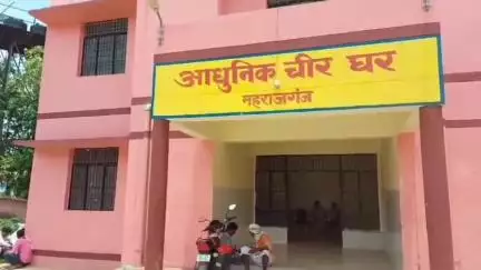 निचलौल: ग्राम सभा मोजरी में धान की रोपाई करते समय महिला को सांप ने काटा, सीएचसी में डॉक्टरों ने किया मृत घोषित