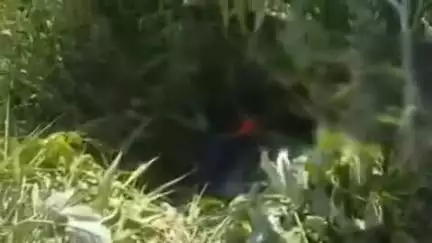 पडरौना: कोटवा-घुघुली मार्ग पर ढोलहा गांव के पास सड़क हादसे में पत्नी की हुई मौत व पति गंभीर रुप से हुआ घायल