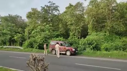 নাকাশিপাড়া: যুগপুর ৫ নম্বরে  জাতীয় সড়কে ইলেকট্রিক এর তারের পাইপের গাড়ির সঙ্গে আমের গাড়ির মুখোমুখি সংঘর্ষে আহত চালক