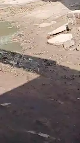 Lakhimpur khiri pipriya bypass sadkon per bhara Pani naliyon ka Pani roto per aane Laga hai aur Pradhan kuch nhi kar