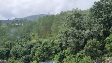बागेश्वर: बागेश्वर के बिलौनासेरा में गुलदार का आतंक जारी, बकरी को बनाया निवाला, लोगों ने पिंजरा लगाने की की मांग