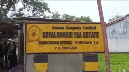 মৰিয়নি: কঠালগুৰি চাহ বাগিছাত শ্ৰমিকক কাম ,ঘৰ দিয়াৰ নামত ধন সংগ্ৰহৰ অভিযোগ, নিশা আৰু আজি পুৱা ভুক্তভোগীয়ে থানাত দাখিল কৰে এজাহাৰ